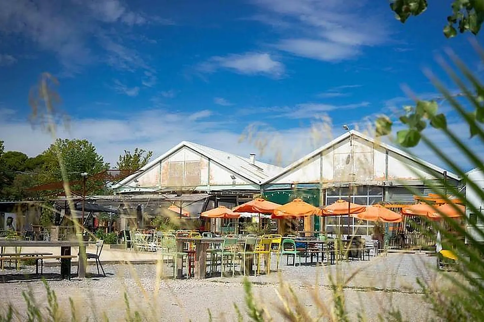 Lieux événementiels, THE PLACE TO BEES