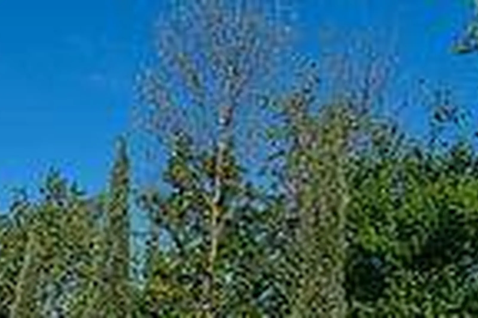 Lieux événementiels, HERMITAGE DE MOLY