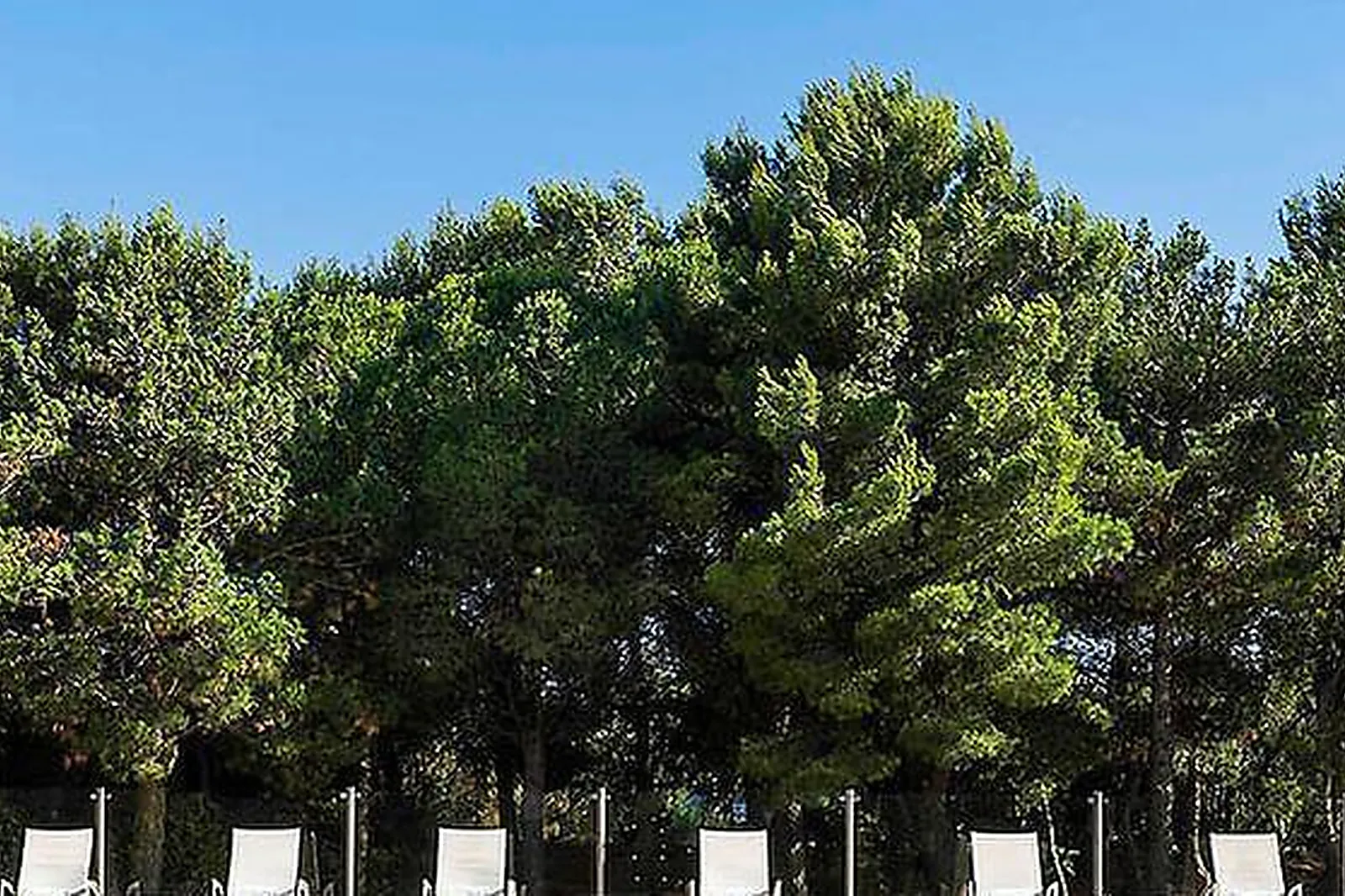 Lieux événementiels, HILTON GARDEN INN MARSEILLE PROVENCE AIRPORT ****