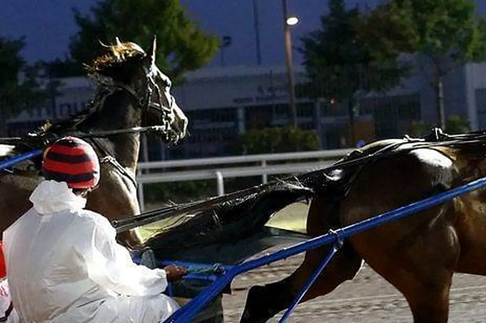 Lieux événementiels, HIPPODROME DE LYON - PARILLY