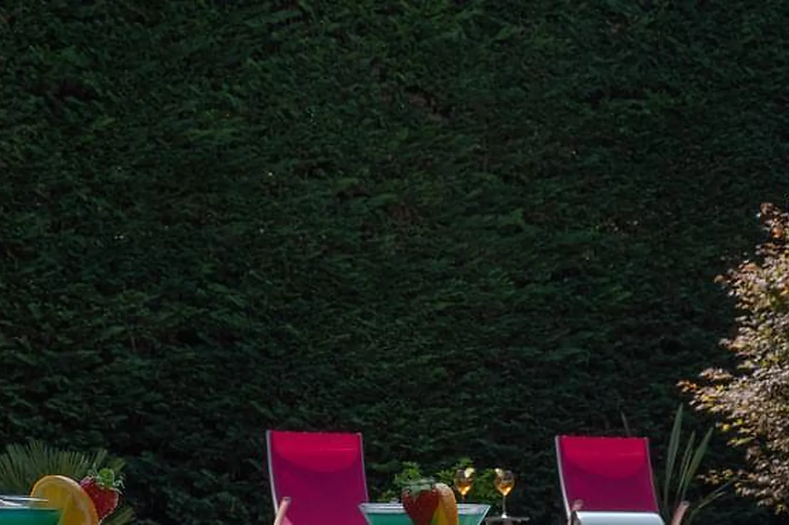 Lieux événementiels, HOSTELLERIE LA CROIX BLANCHE FONTEVRAUD