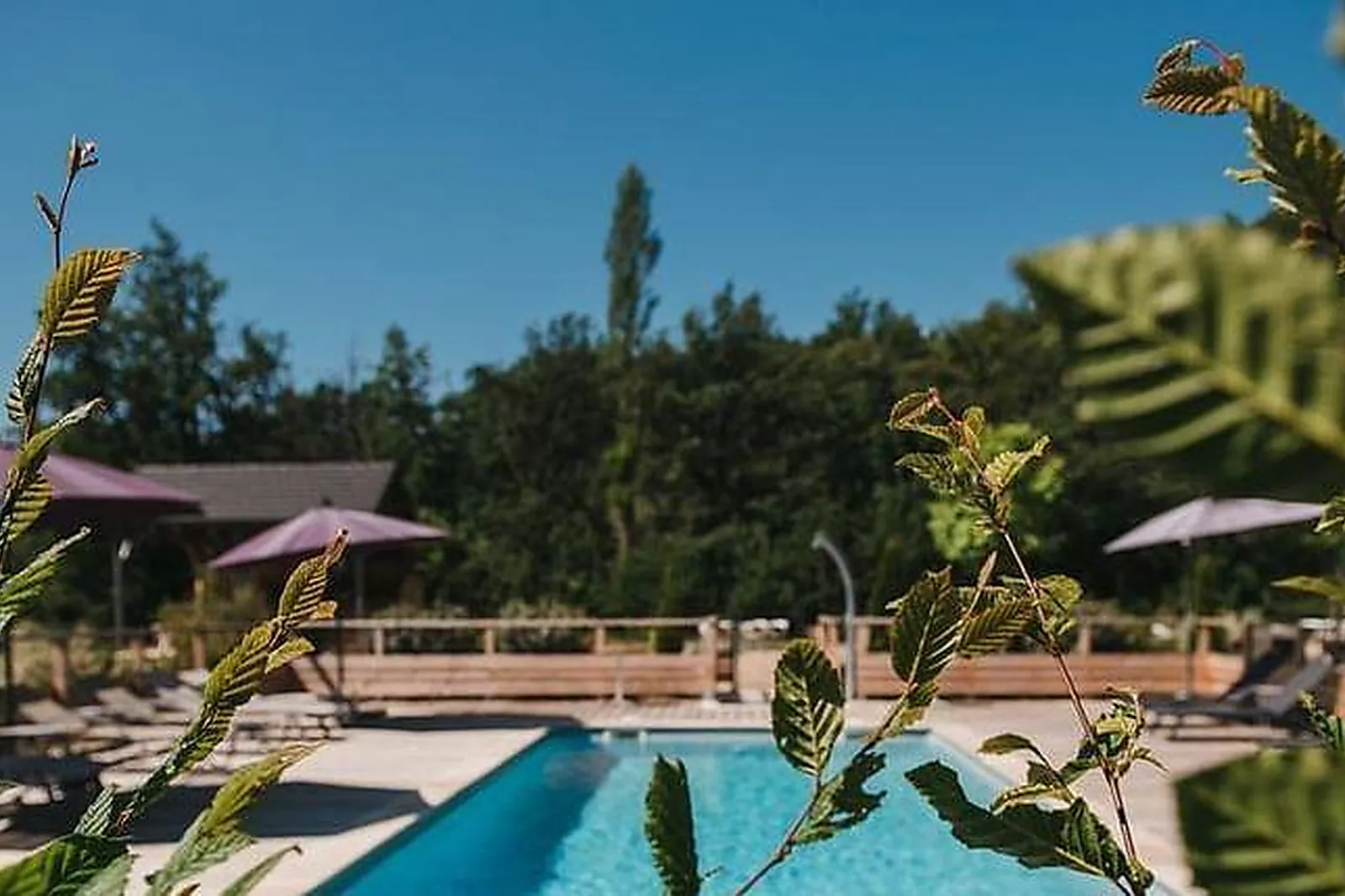 Lieux événementiels, HOSTELLERIE LES OLIVADES ***