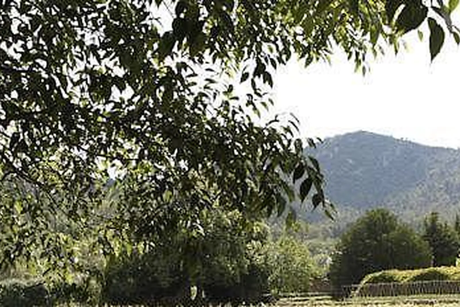 Lieux événementiels, HOSTELLERIE DE L'ABBAYE DE LA CELLE *****
