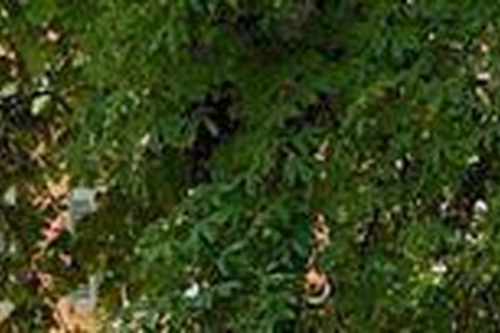 Lieux événementiels, HOSTELLERIE DE L'ABBAYE DE LA CELLE *****