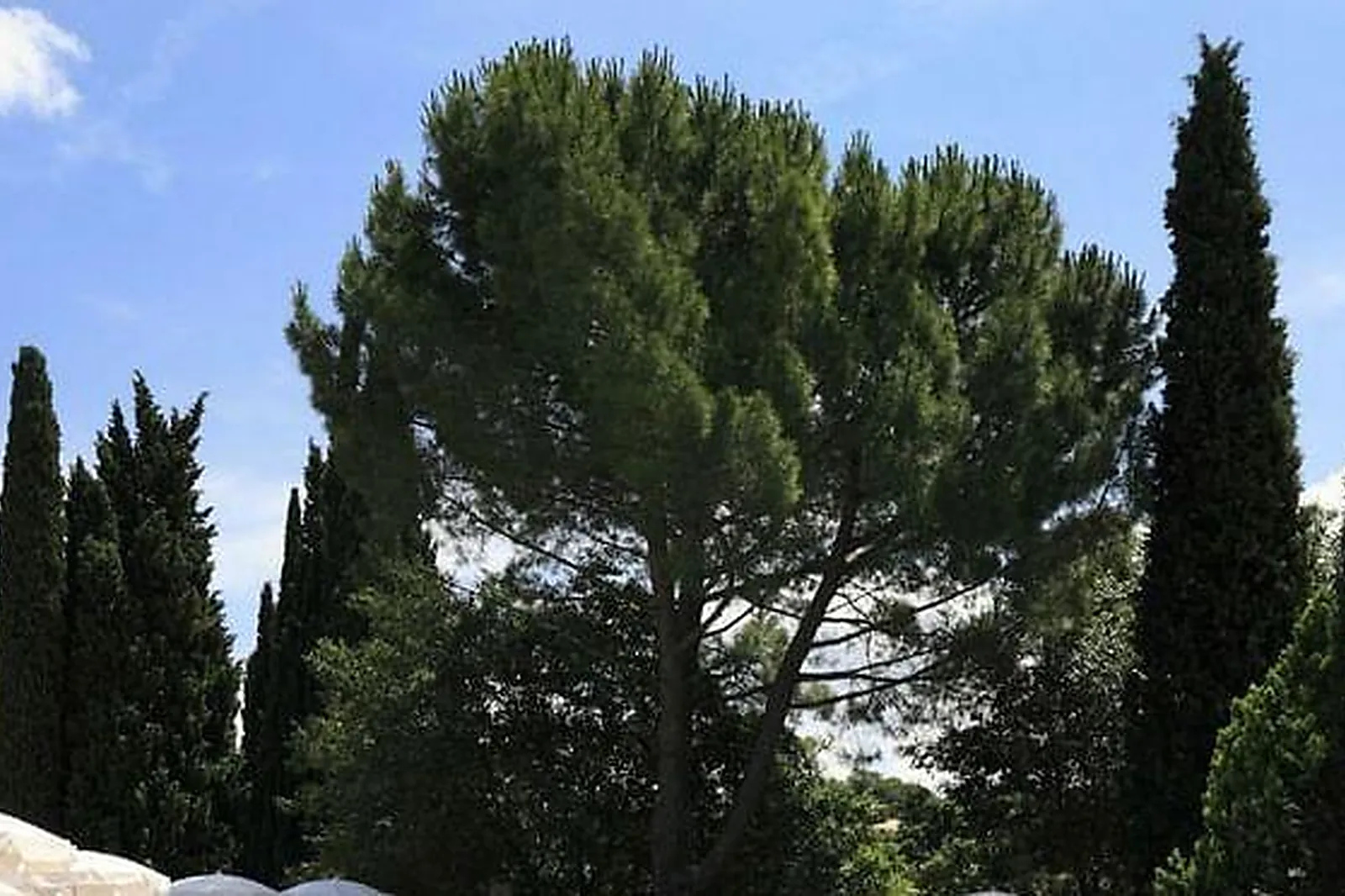 Lieux événementiels, HOSTELLERIE DE L'ABBAYE DE LA CELLE *****