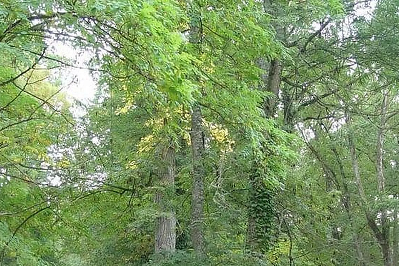 Lieux événementiels, HOSTELLERIE DU CHÂTEAU LES MUIDS ***