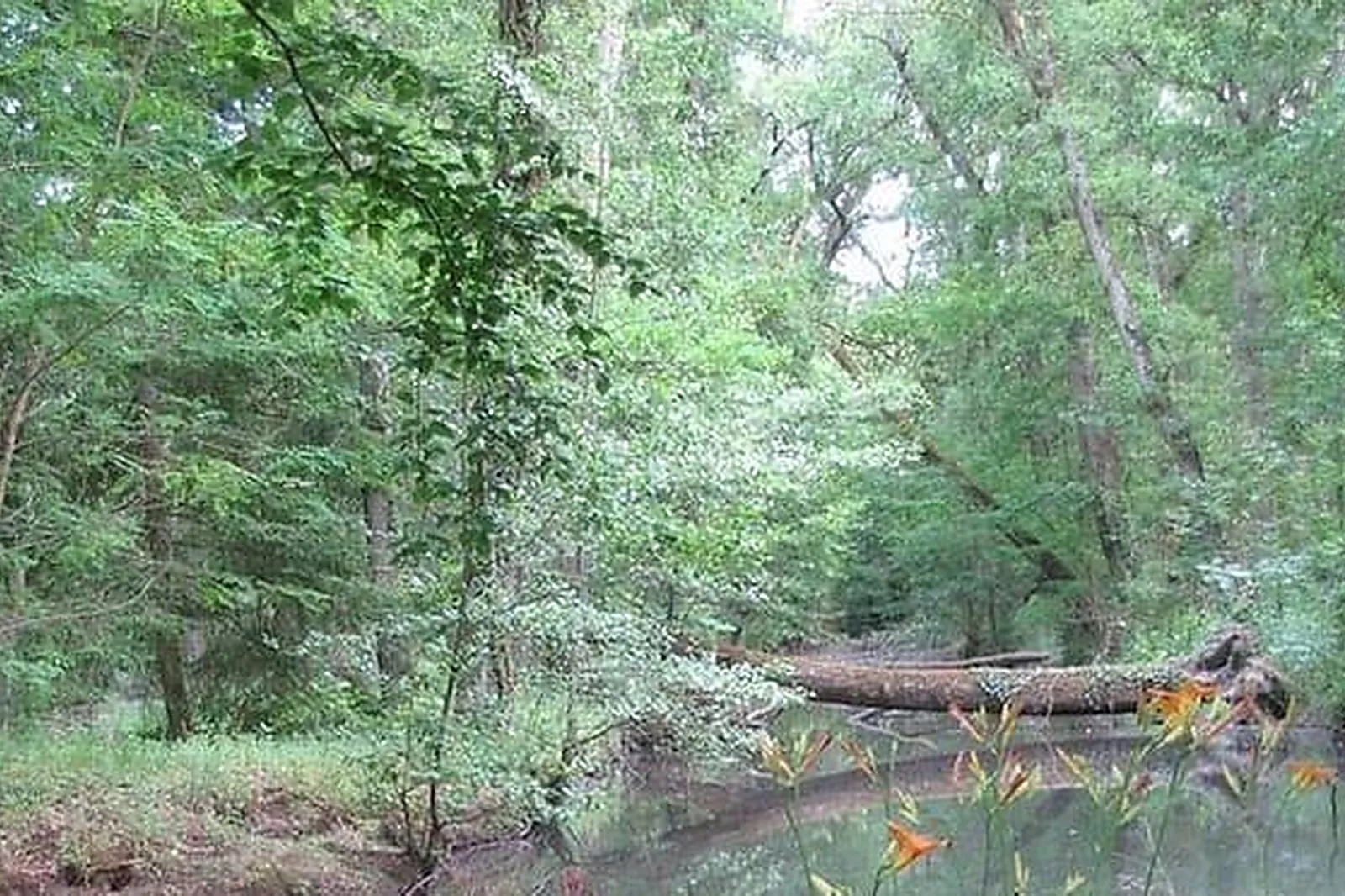 Lieux événementiels, HOSTELLERIE DU CHÂTEAU LES MUIDS ***