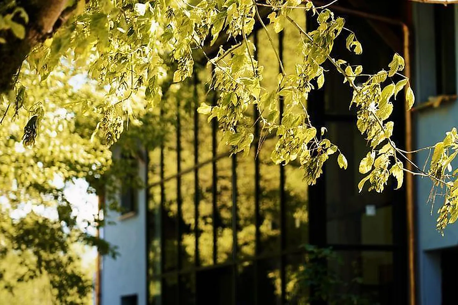 Lieux événementiels, HOTEL LE MOUTON BLEU