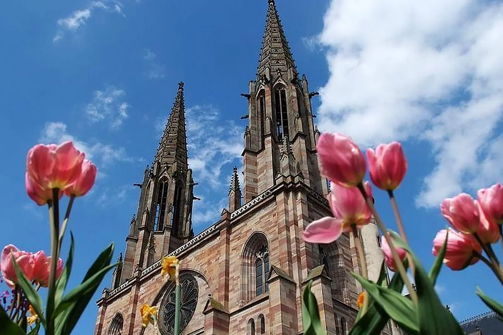 Lieux événementiels, HOTEL LES JARDINS D'ADALRIC***