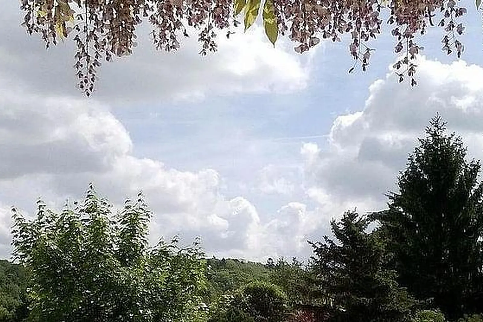 Lieux événementiels, HOTEL MAISON CARRÉE - RESTAURANT O'CARRÉ D'ART