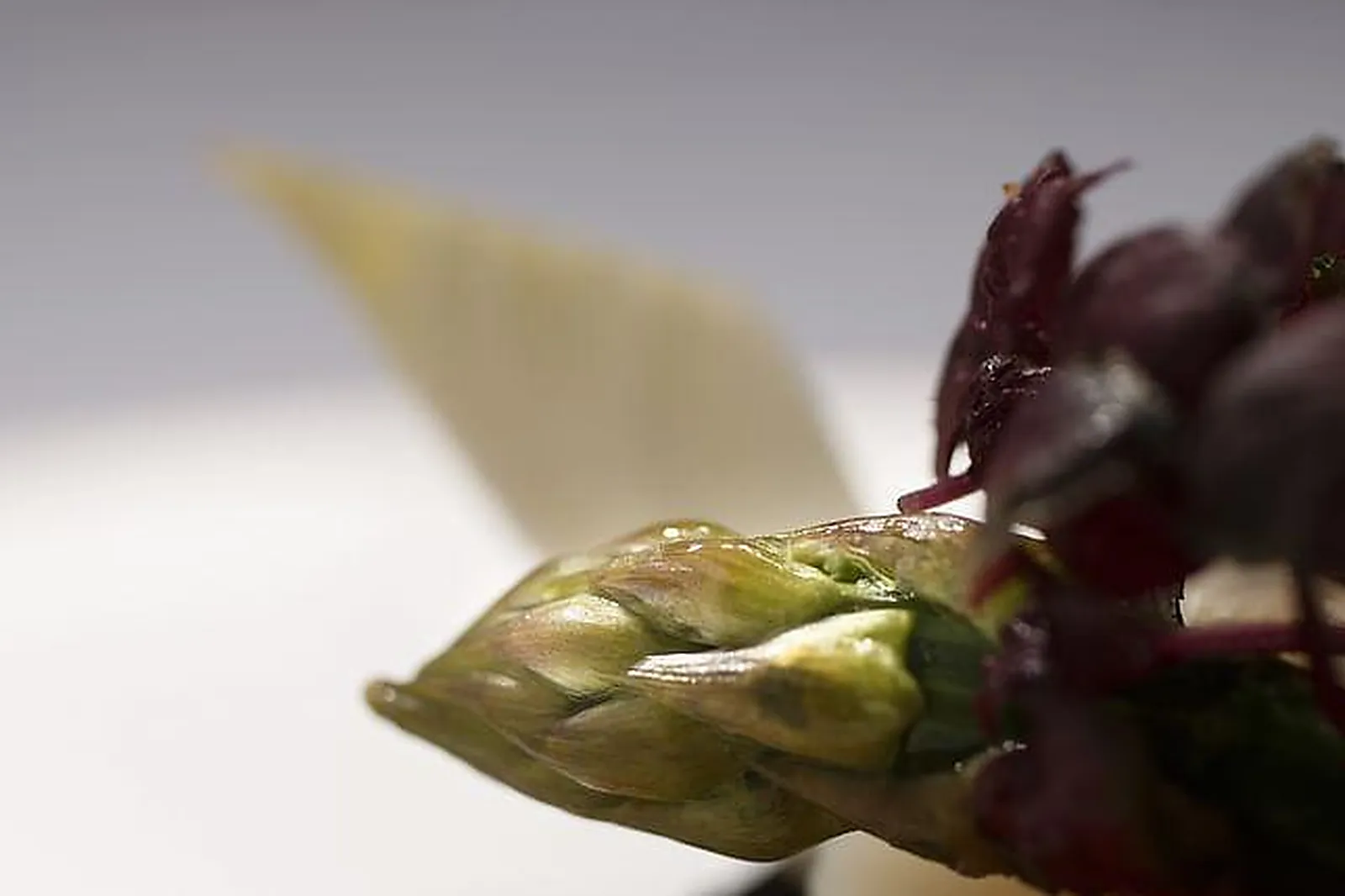 Lieux événementiels, HOTEL RELAIS D'AUMALE ***