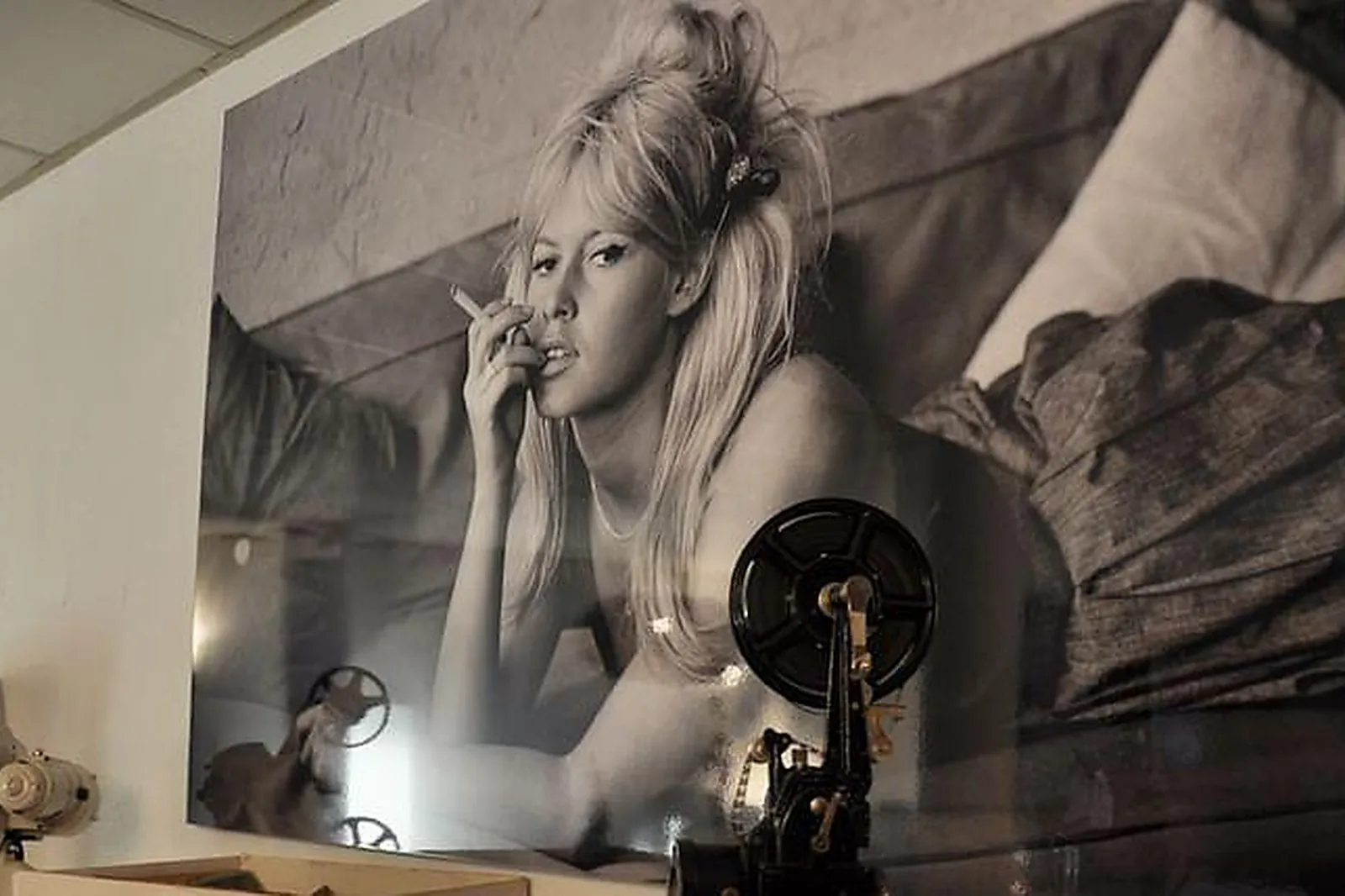 Lieux événementiels, COCOONS TERREAUX