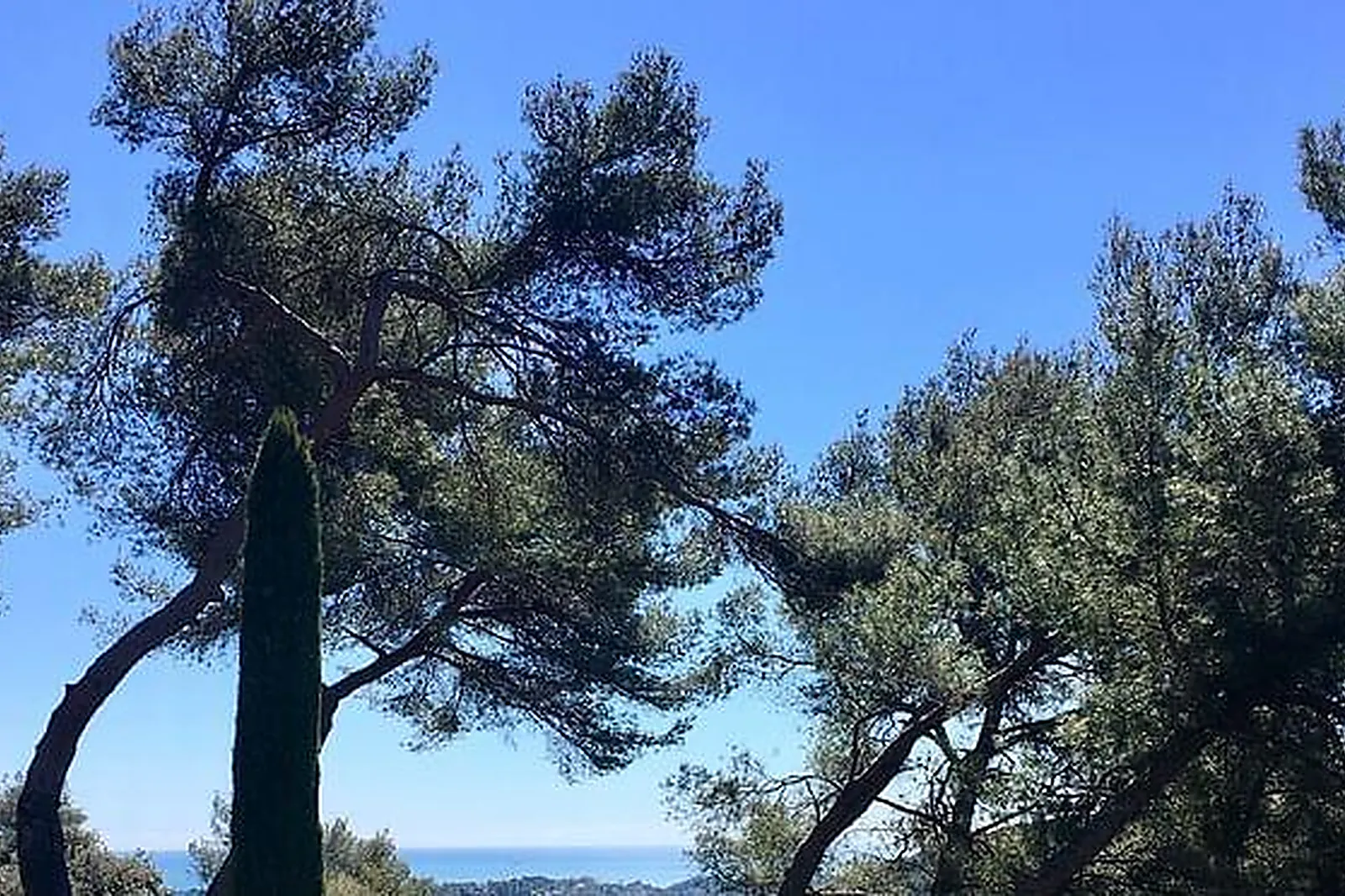 Lieux événementiels, HOTEL SPA & RESTAURANT CANTEMERLE ****