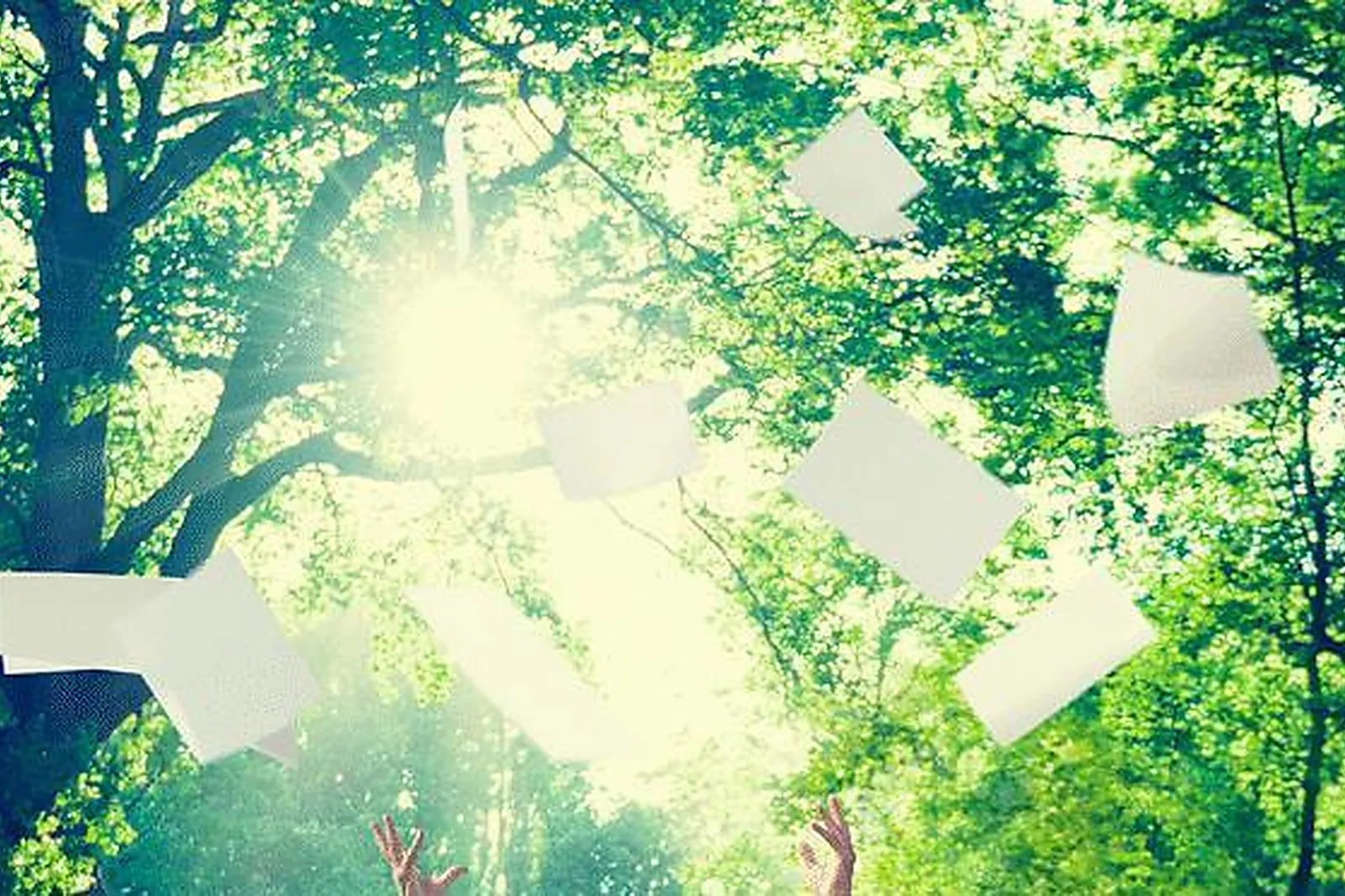 Lieux événementiels, HOTEL SPA & RESTAURANT CANTEMERLE ****