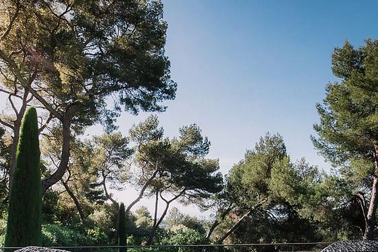 Lieux événementiels, HOTEL SPA & RESTAURANT CANTEMERLE ****