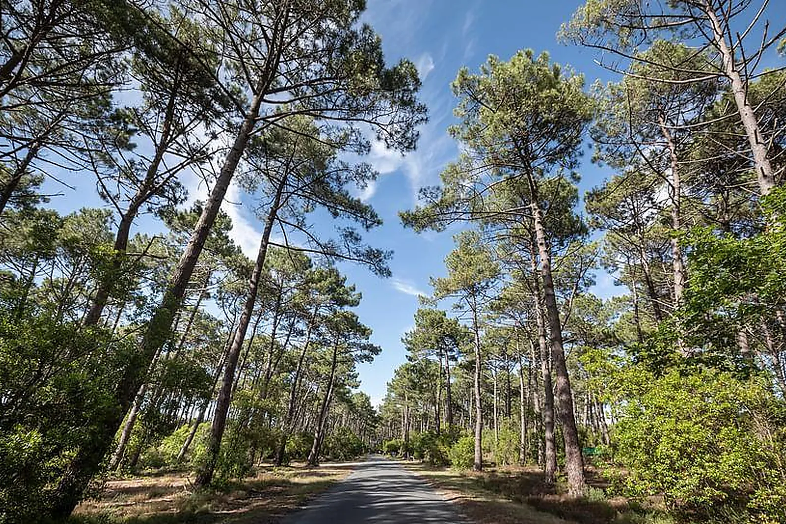 Lieux événementiels, HUTTOPIA ARCACHON****