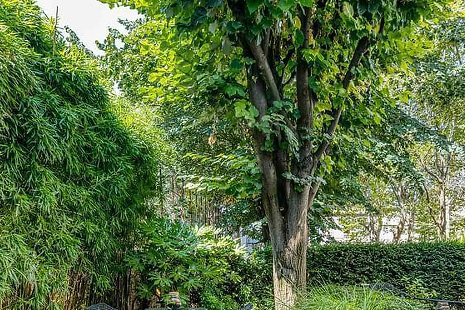 Lieux événementiels, LA PLANQUE