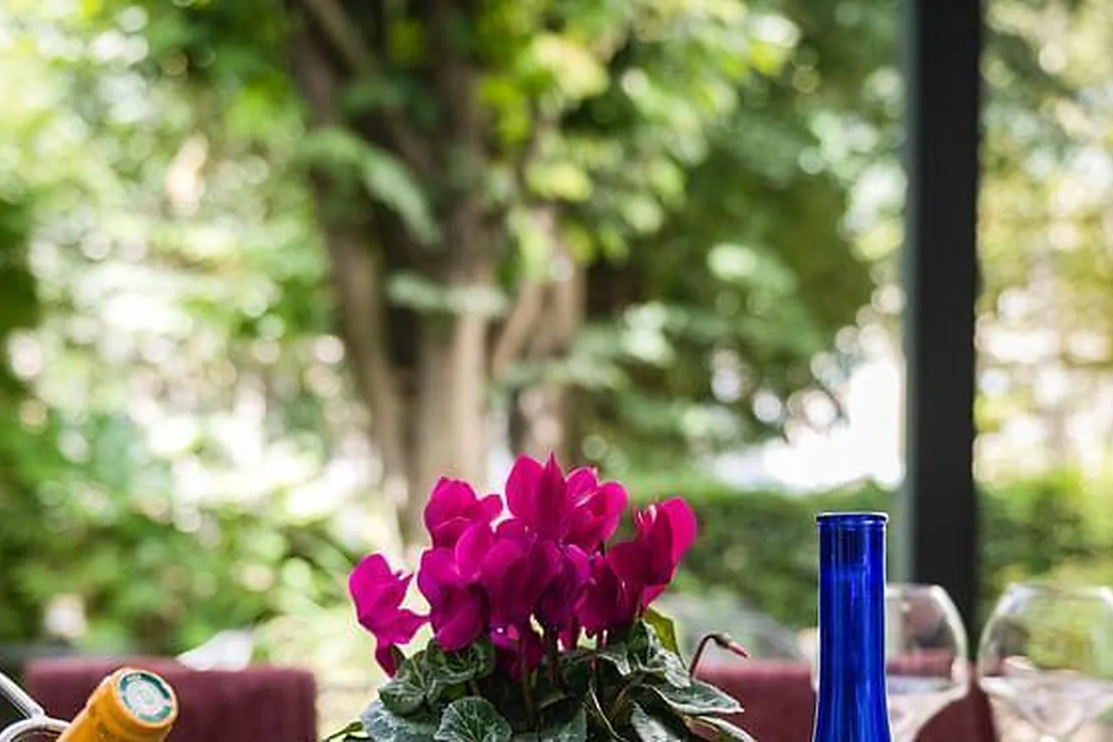 Lieux événementiels, LA PLANQUE