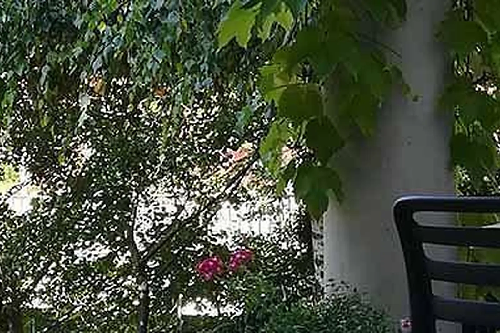 Lieux événementiels, CENTRE FORMATION 92