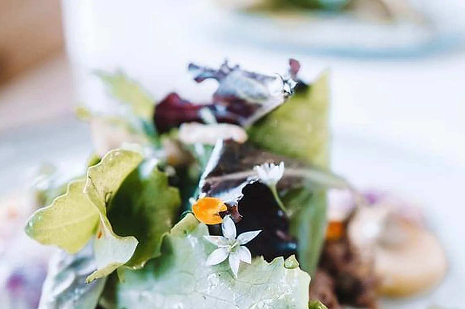 Lieux événementiels, HÔTEL BELAROÏA**** & CAMPANILE MONTPELLIER CENTRE***