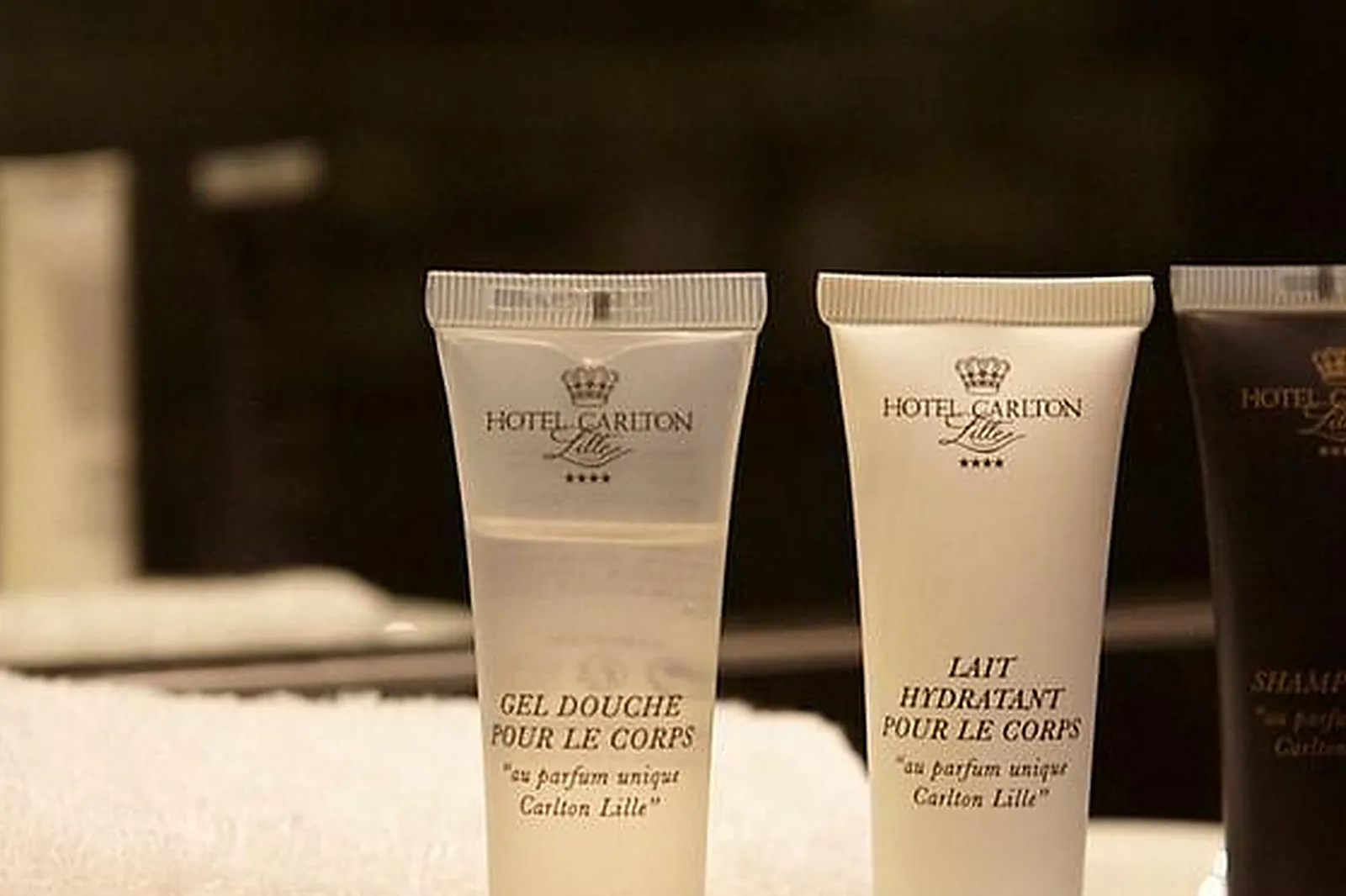 Lieux événementiels, HÔTEL KYRIAD LA ROCHE SUR YON***