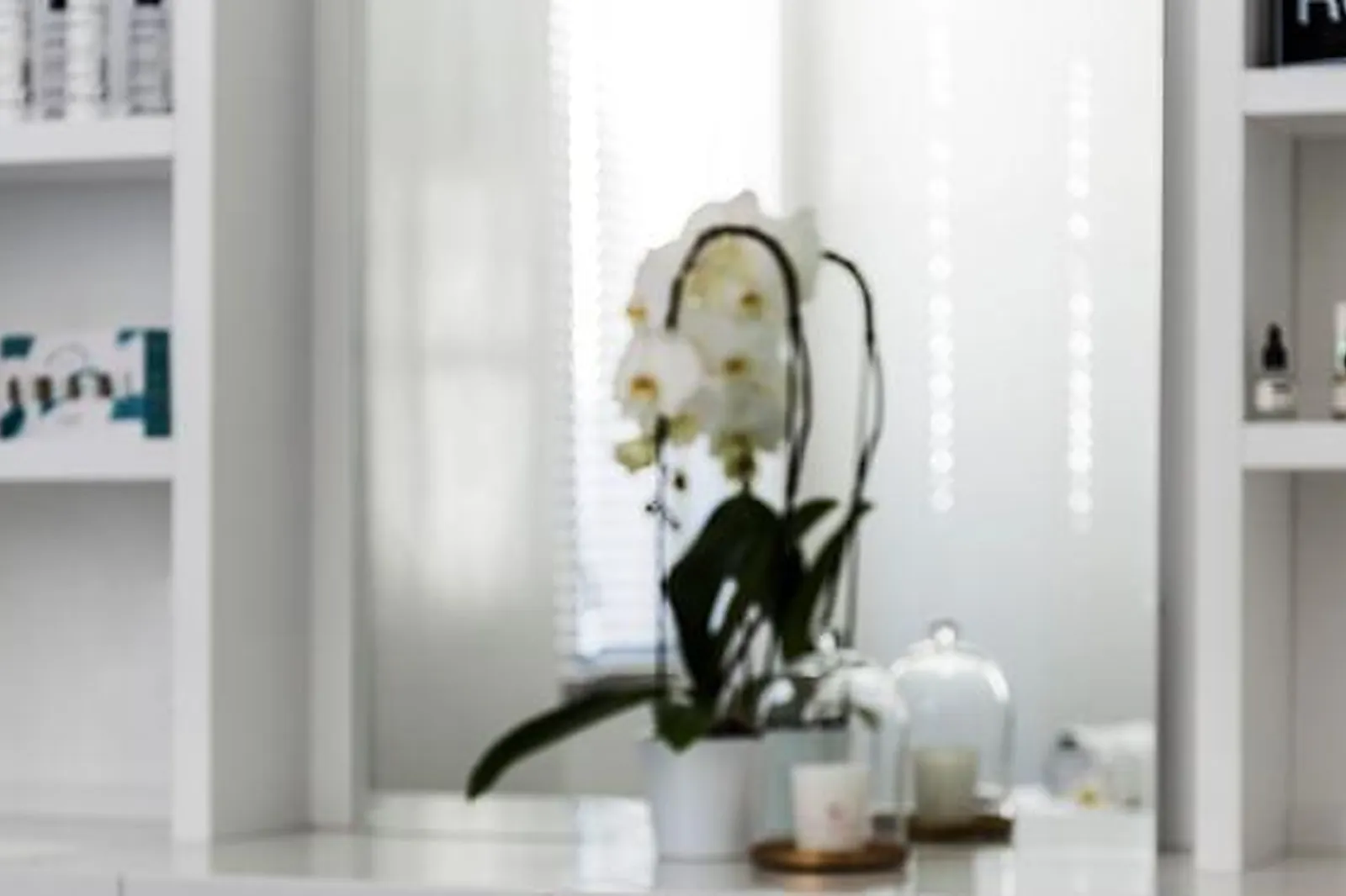 Lieux événementiels, HÔTEL CARLTON LYON MGALLERY COLLECTION ****