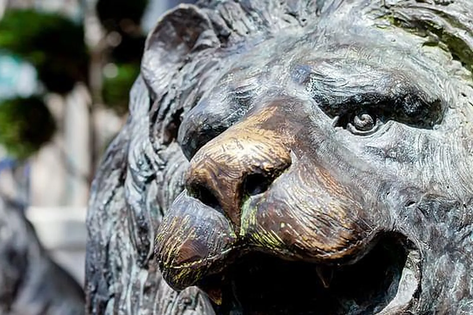 Lieux événementiels, LOFT AVEC TERRASSE
