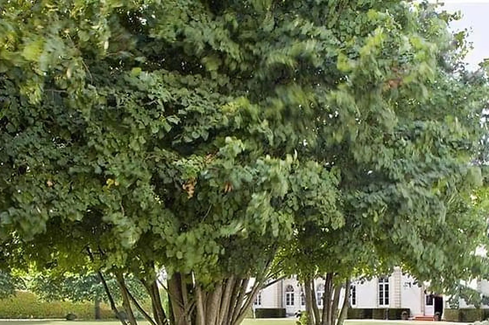 Lieux événementiels, HÔTEL CHÂTEAU DE SULLY ***