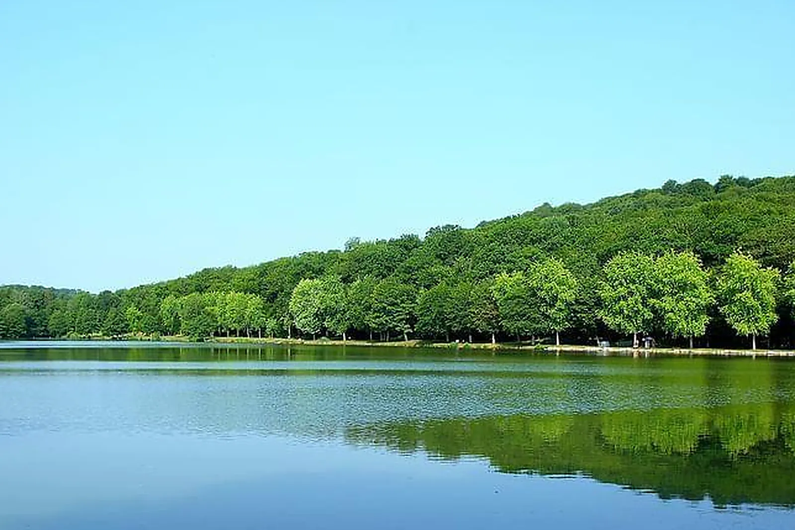 Lieux événementiels, HÔTEL CLUB COSMOS & SPA ***