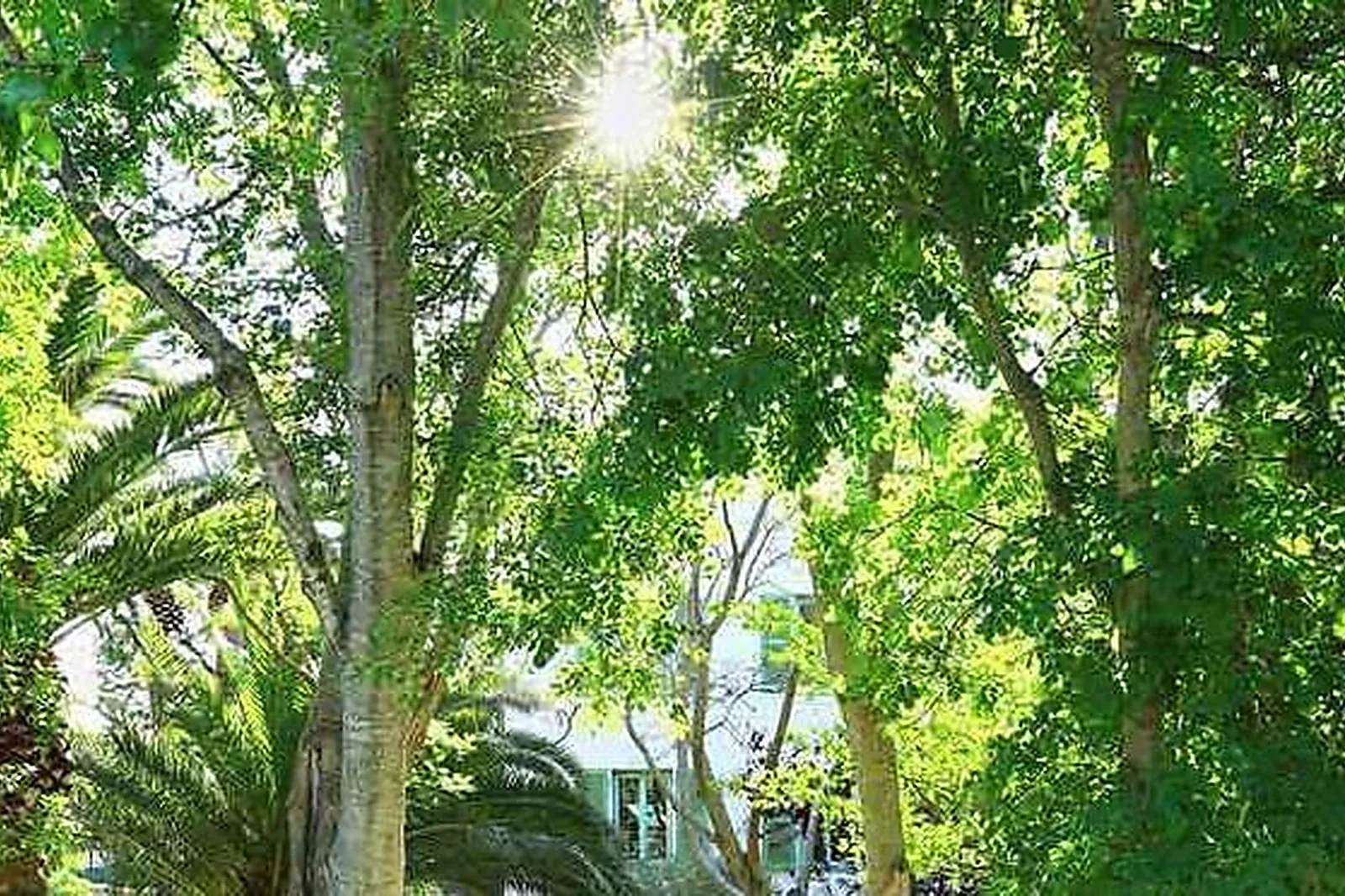 Lieux événementiels, HÔTEL DEMEURE CASTEL BRANDO ****