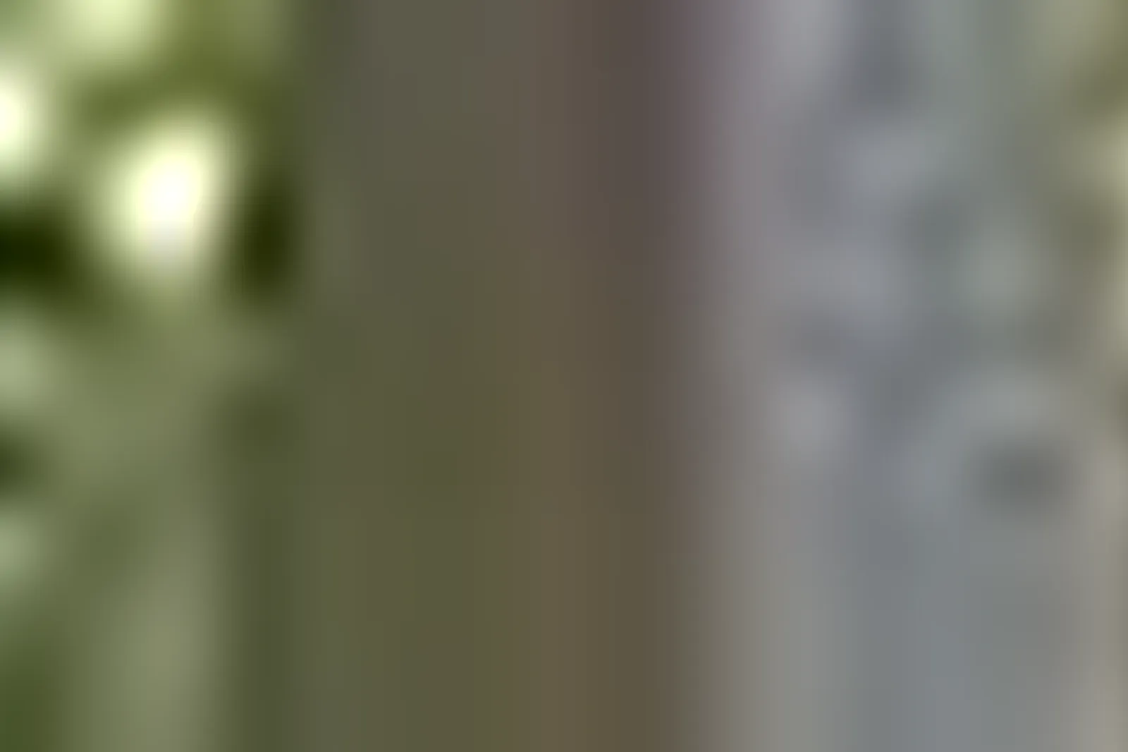 Lieux événementiels, HÔTEL ERMITAGE EVIAN RESORT ****