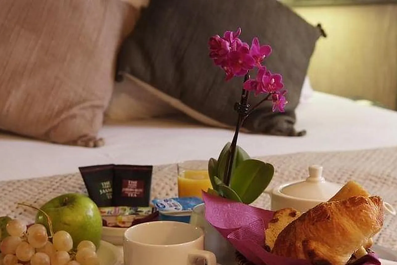 Lieux événementiels, HÔTEL GRATTE-CIEL LYON VILLEURBANNE ***