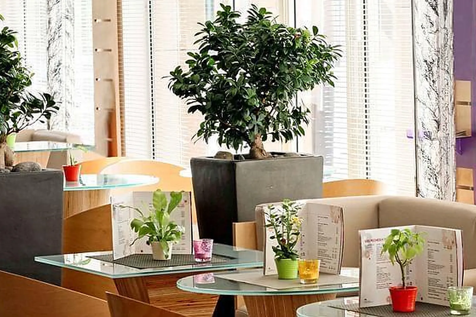 Lieux événementiels, HÔTEL IBIS MARTIGUES CENTRE ***