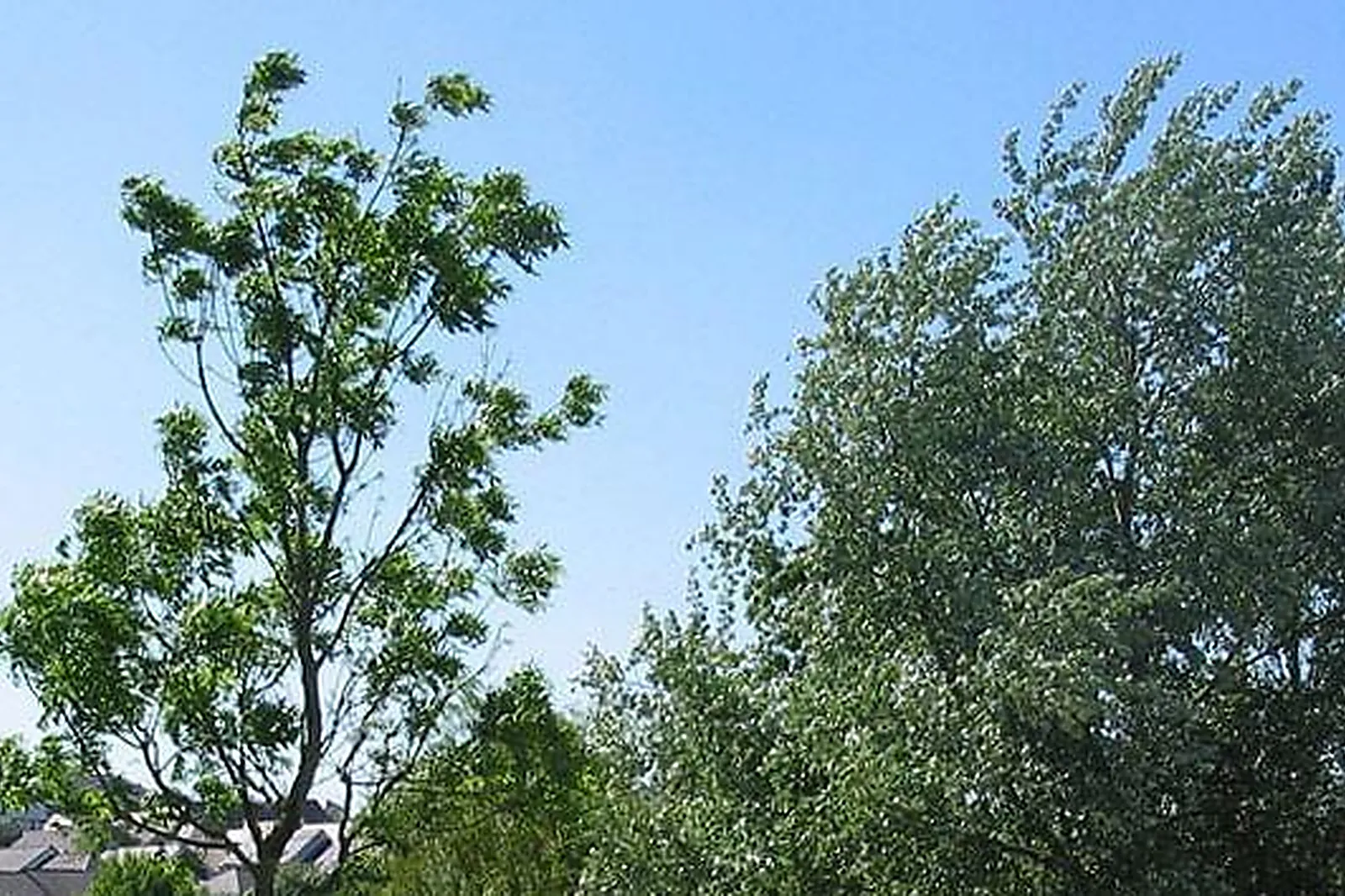 Lieux événementiels, HÔTEL INN DESIGN NANTES CARQUEFOU