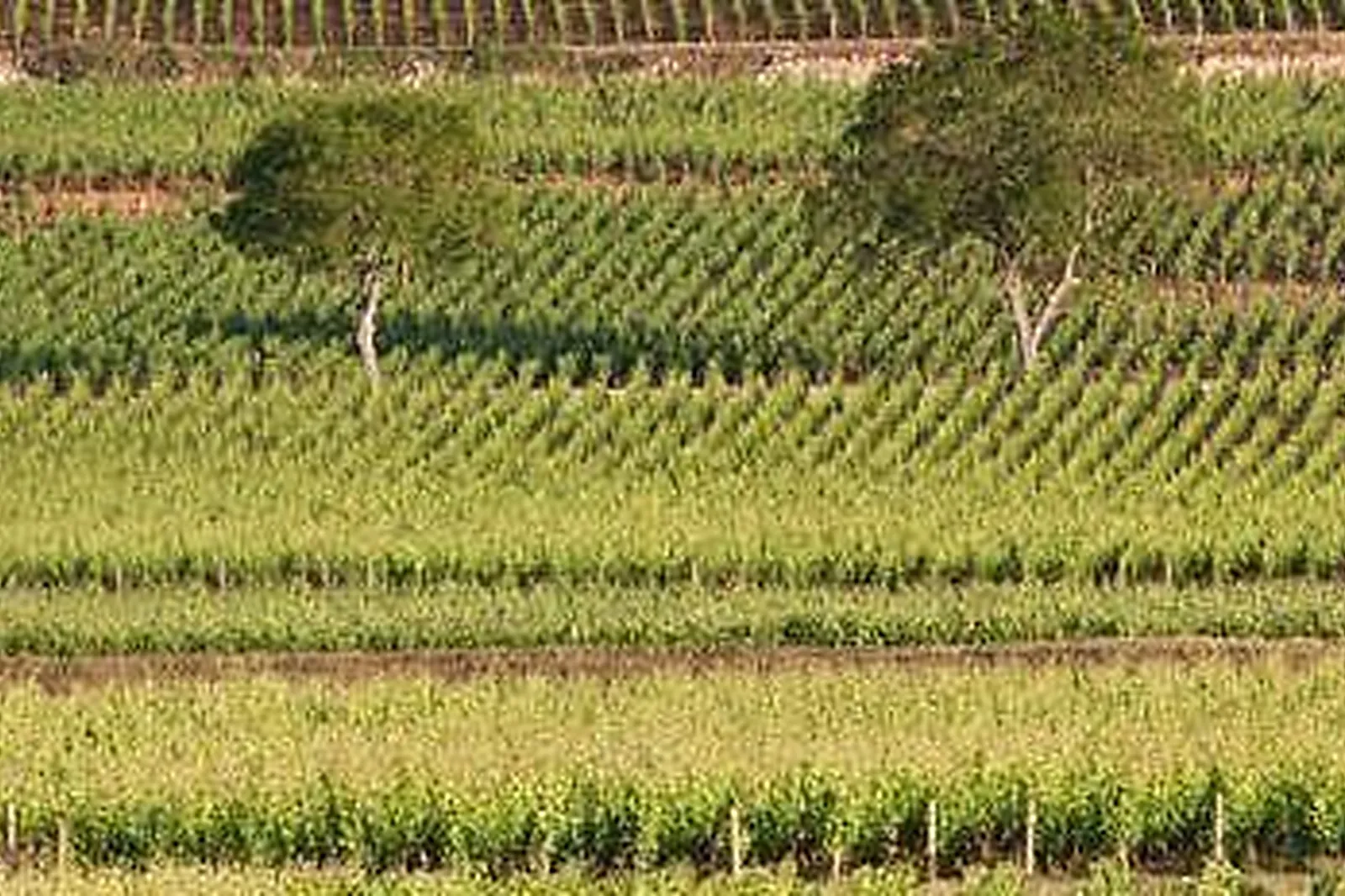 Lieux événementiels, HÔTEL KYRIAD PRESTIGE LE PANORAMA ***