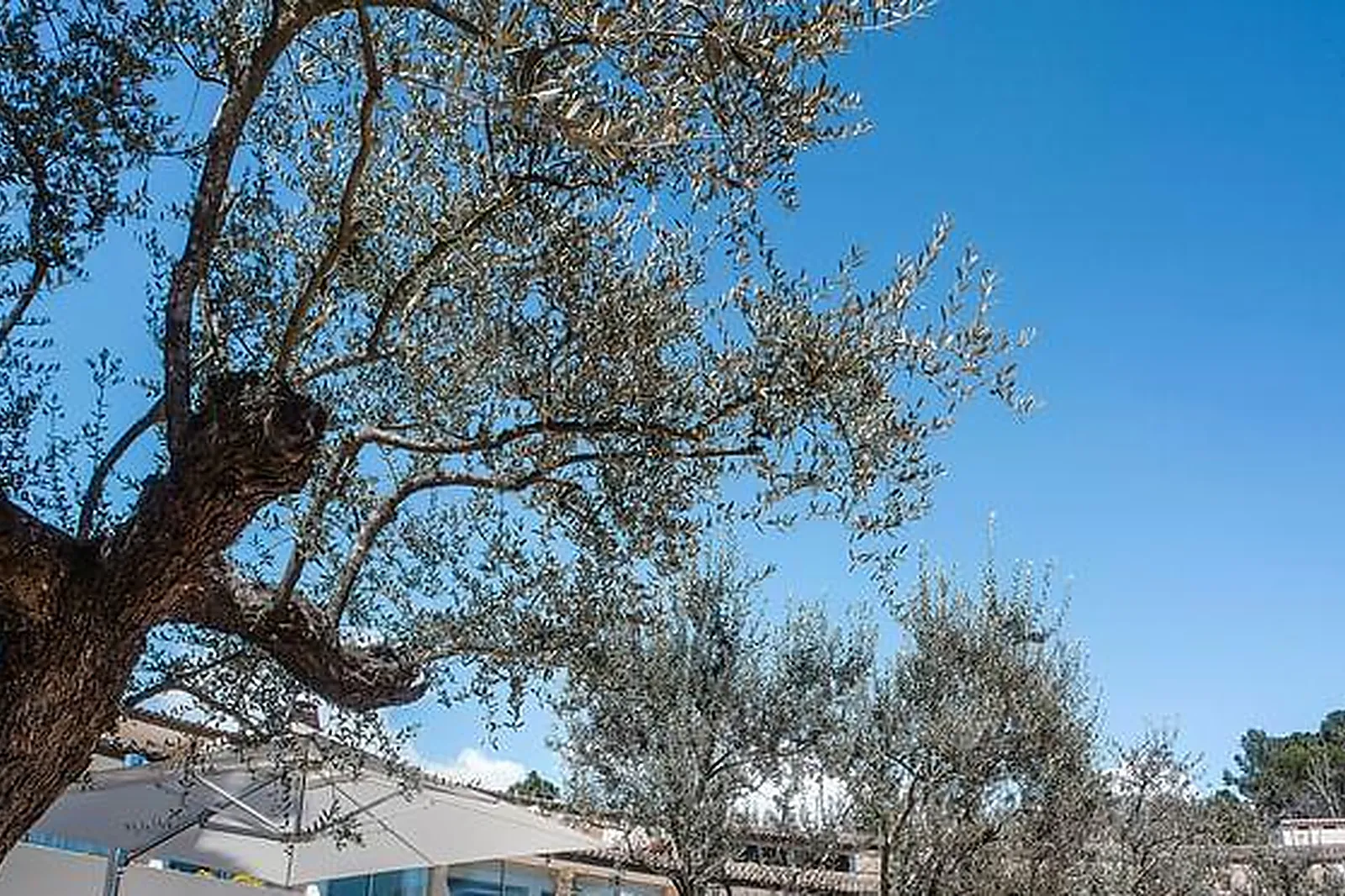 Lieux événementiels, HÔTEL LA VAGUE DE SAINT PAUL****