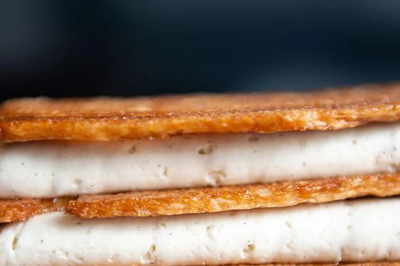 Lieux événementiels, HÔTEL LE CELTIQUE & SPA ****