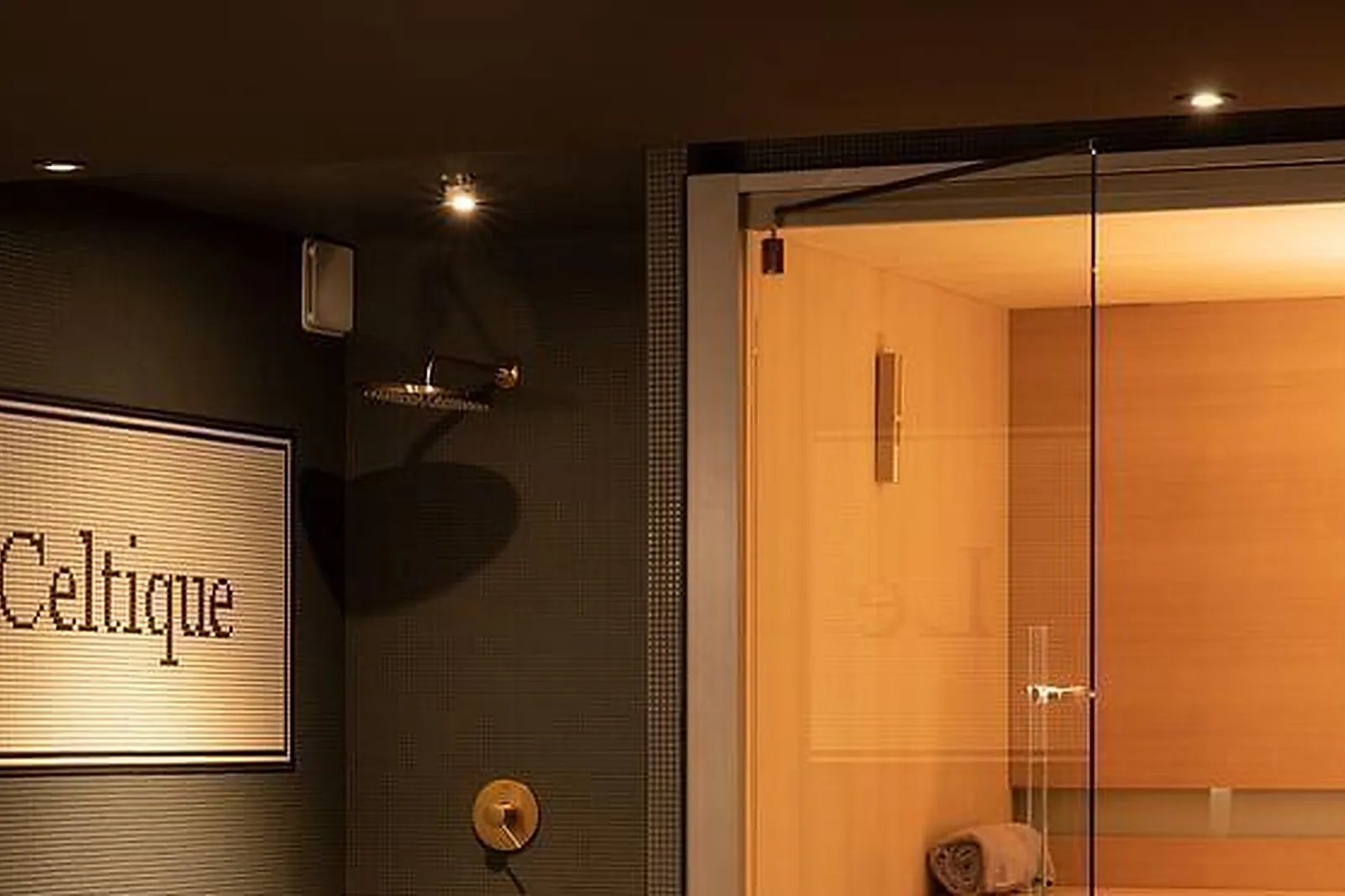 Lieux événementiels, HÔTEL LE CELTIQUE & SPA ****