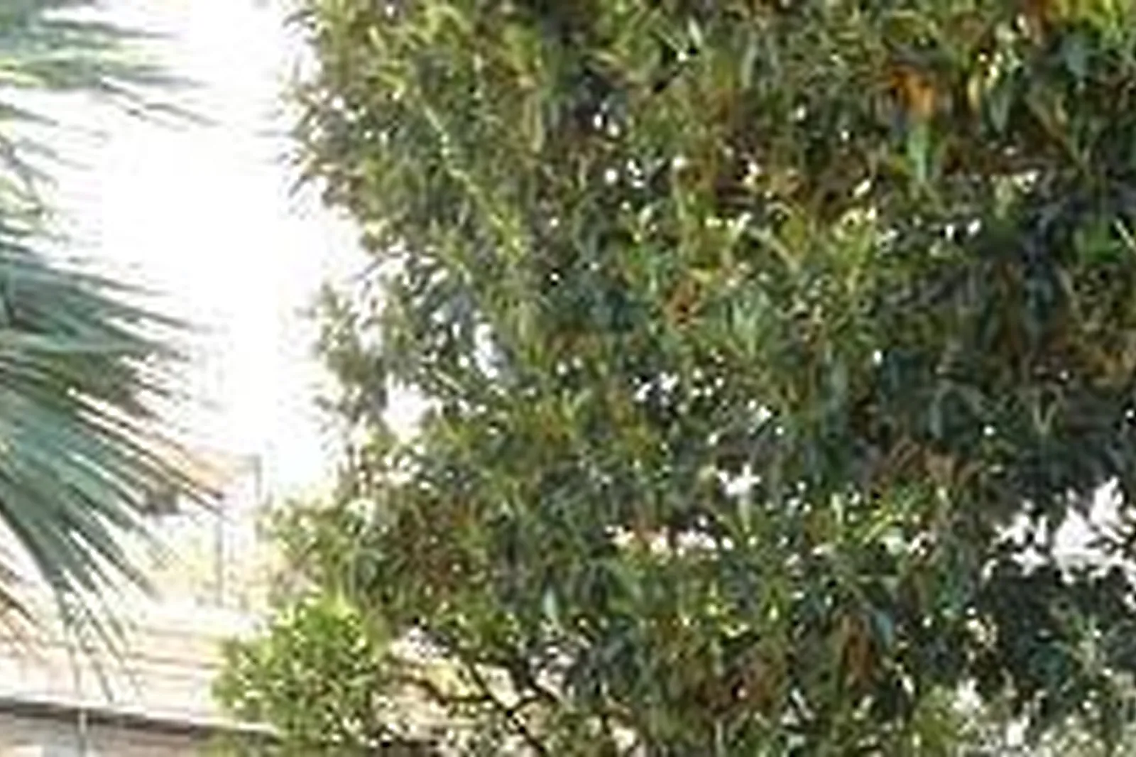 Lieux événementiels, HÔTEL LE ROYAL WESTMINSTER ***