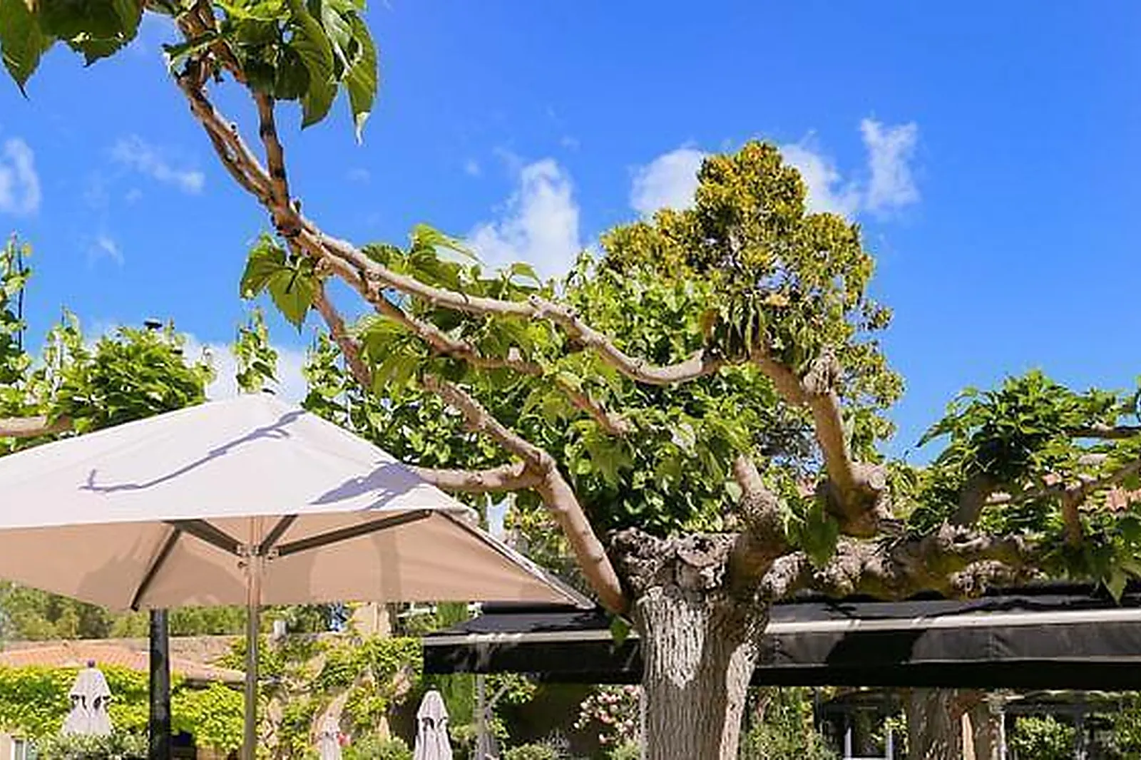 Lieux événementiels, HÔTEL LE VALLON DE VALRUGUES & SPA *****