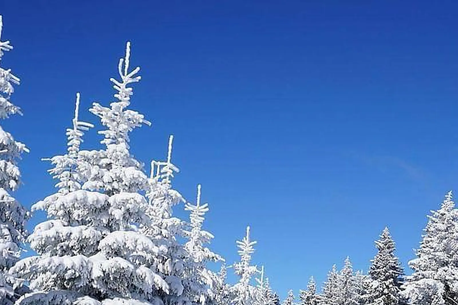 Lieux événementiels, HÔTEL** LES ESSARTS