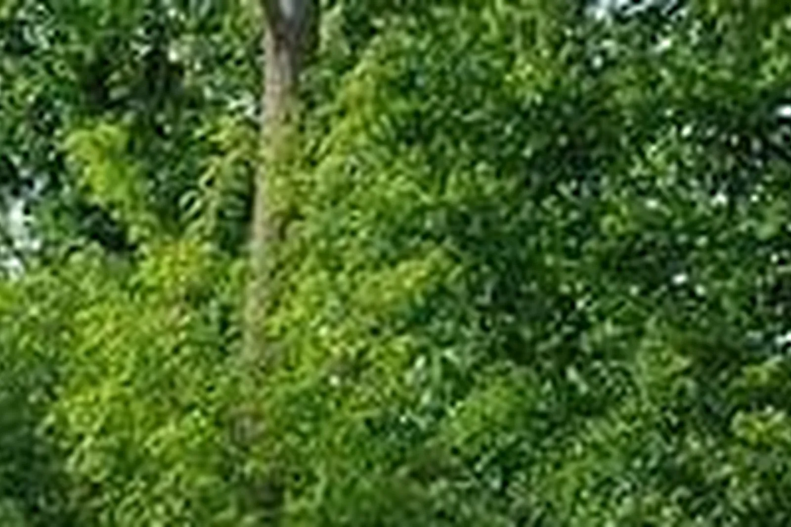 Lieux événementiels, HÔTEL LES HERBES FOLLES ****