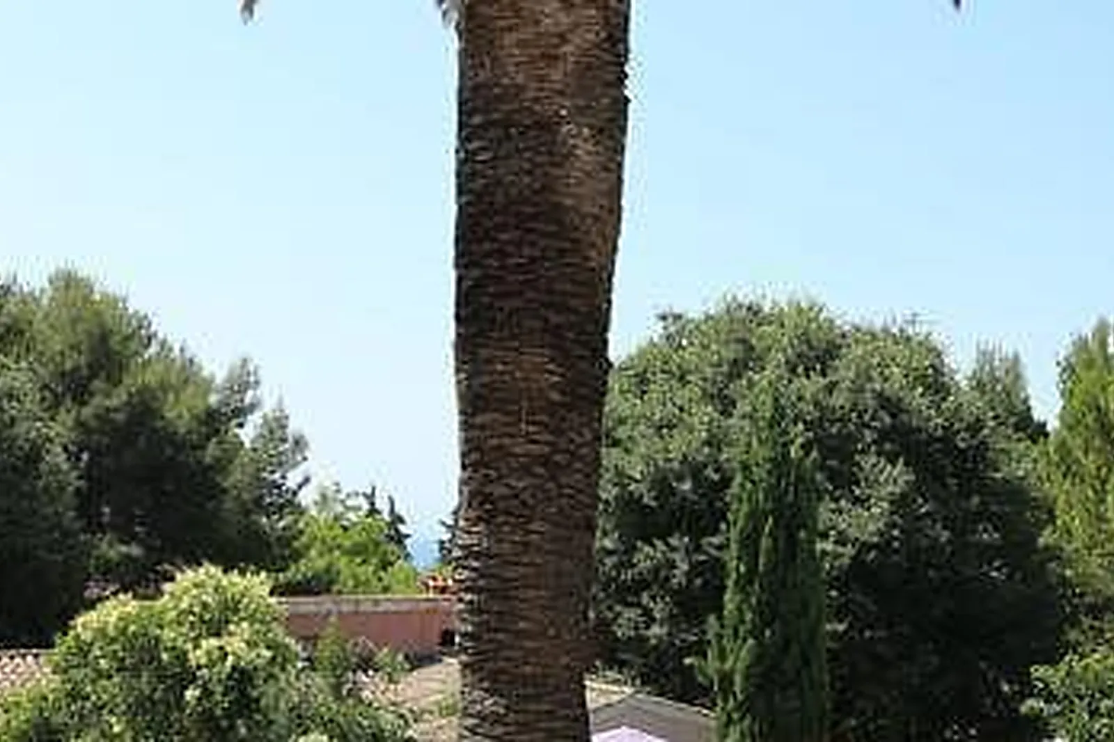 Lieux événementiels, HÔTEL LES JARDINS DE CASSIS ***