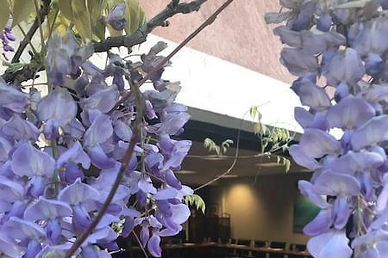 Lieux événementiels, HÔTEL LES JARDINS DE CASSIS ***