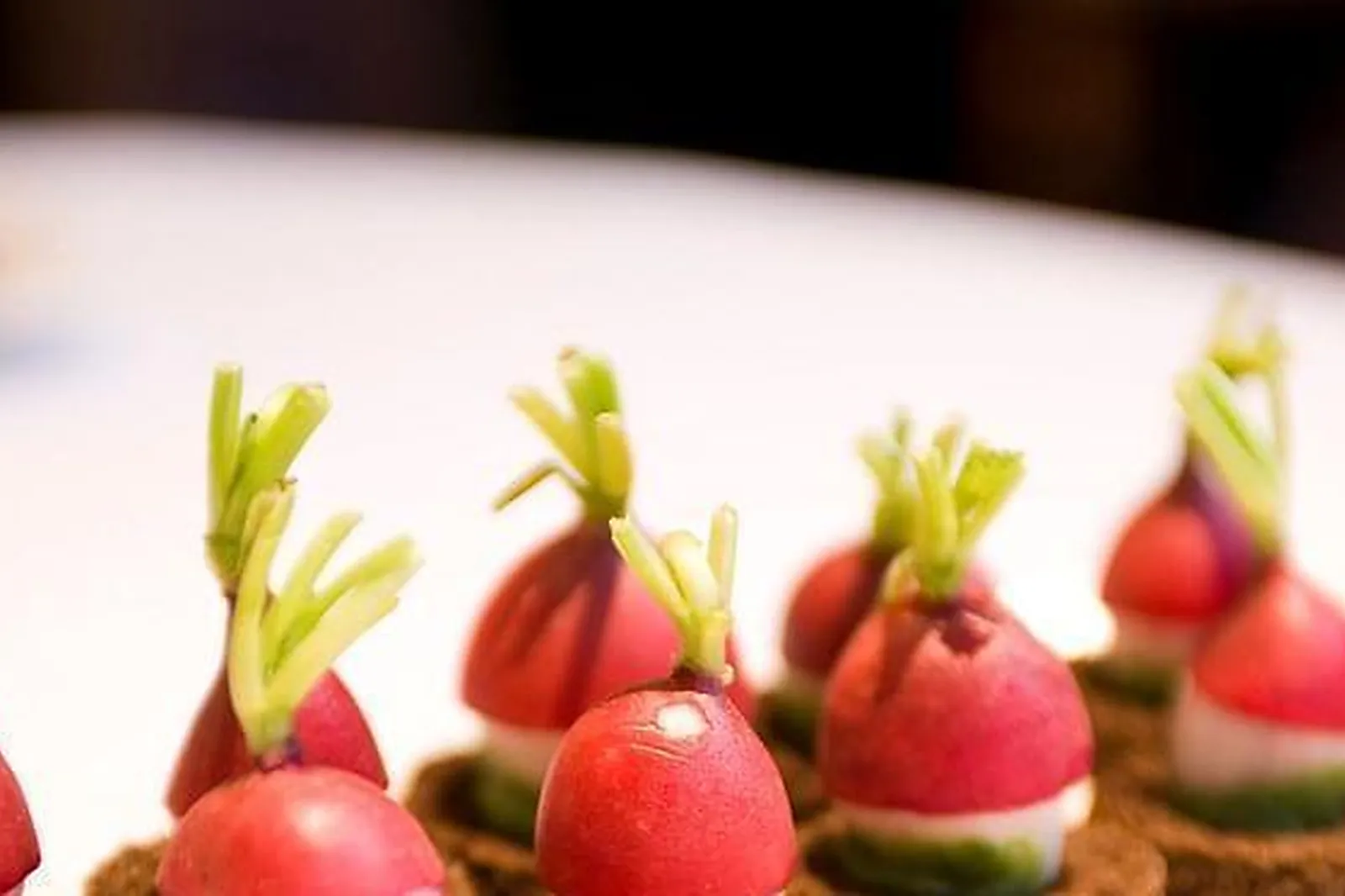 Lieux événementiels, HÔTEL MARRIOTT LYON CITÉ INTERNATIONALE ****