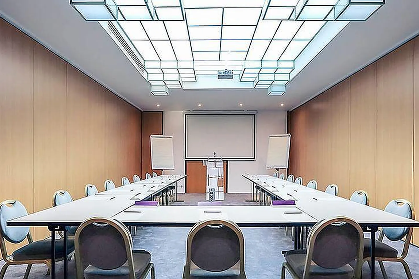 Lieux événementiels, HÔTEL MERCURE NANCY CENTRE GARE ****