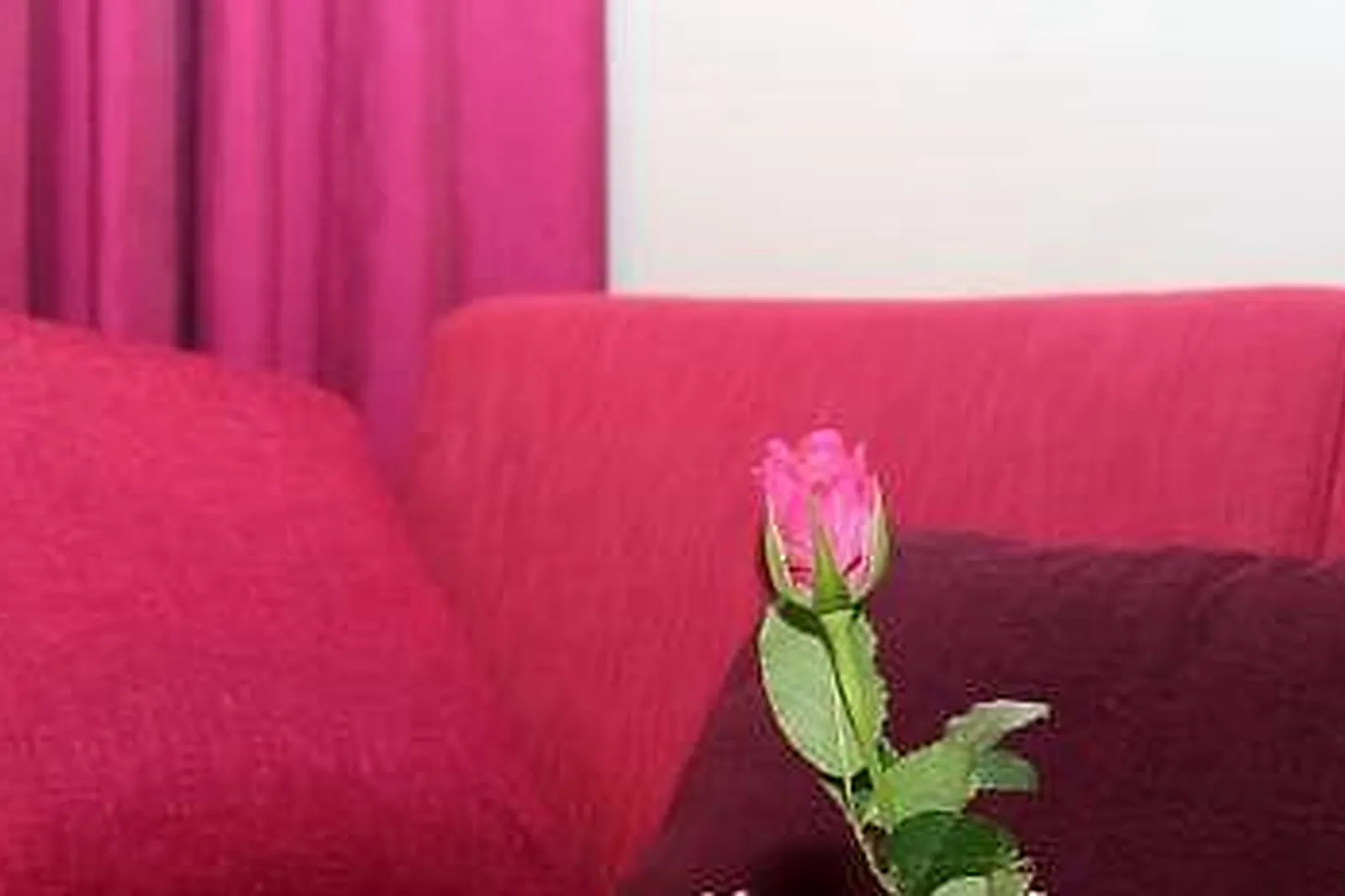 Lieux événementiels, HÔTEL MERCURE PERPIGNAN CENTRE ****