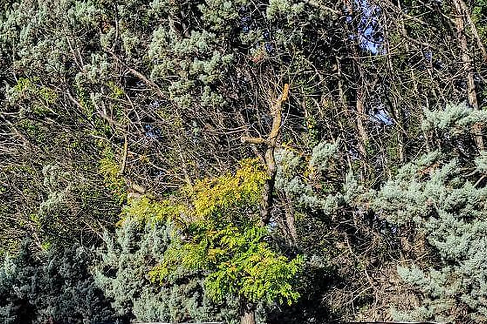 Lieux événementiels, HÔTEL MOULIN D'AURE