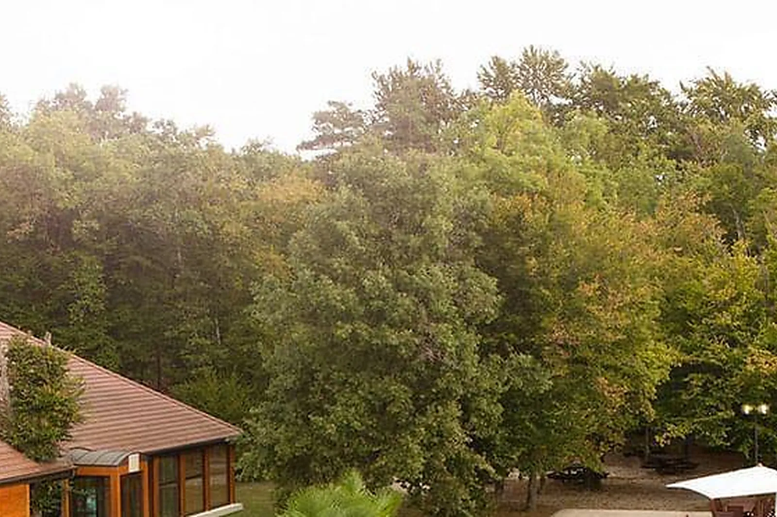 Lieux événementiels, HÔTEL NOVOTEL FONTAINEBLEAU URY ****