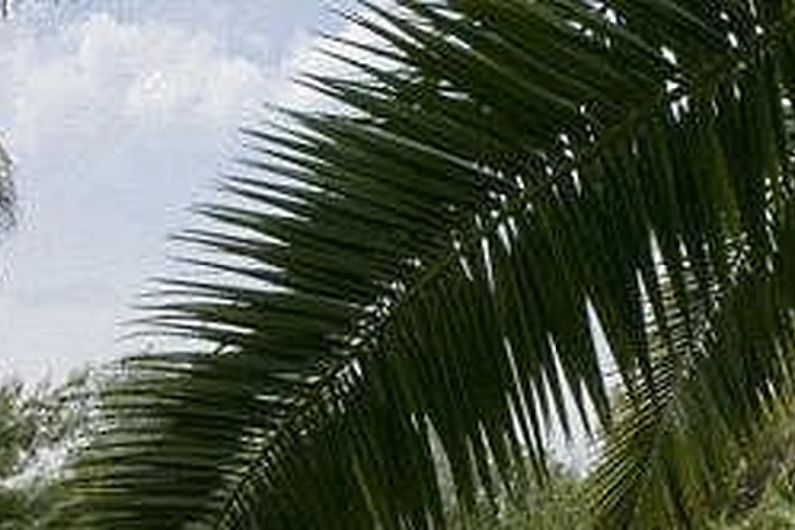 Lieux événementiels, HÔTEL PROMOTEL CARROS ***